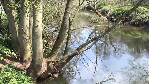 12 Apr 2004 · Somerset Levels: Day 4 Crowcombe to Home